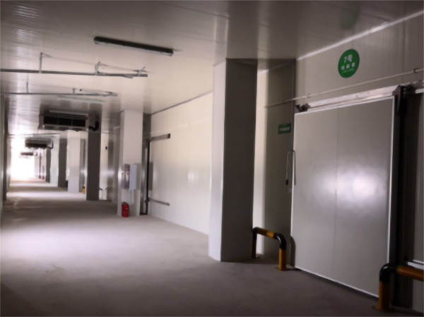 食品公司內建造一個1000平包子、水餃速凍冷庫費用是多少？