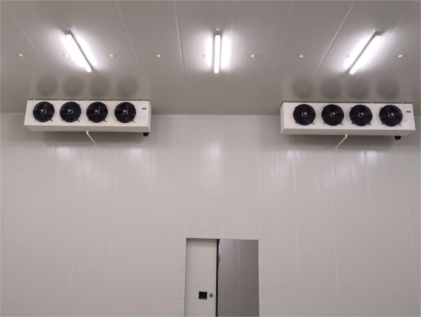 食品公司內建造一個1000平包子、水餃速凍冷庫費用是多少？