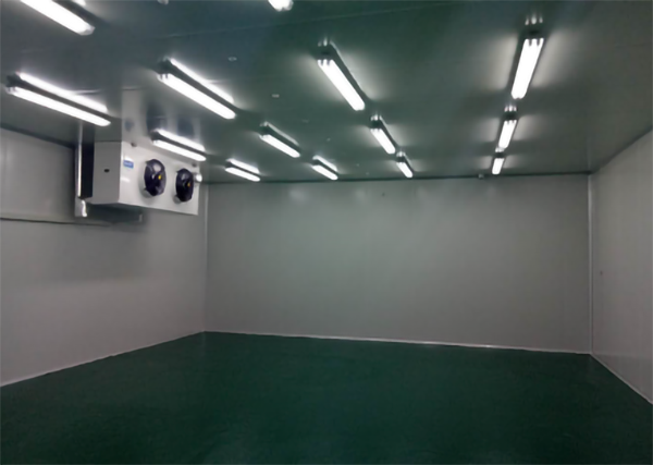 食品公司內建造1000平加工型冷庫大概費用是多少？