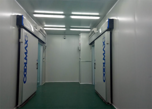 食品公司內建造1000平加工型冷庫大概費用是多少？