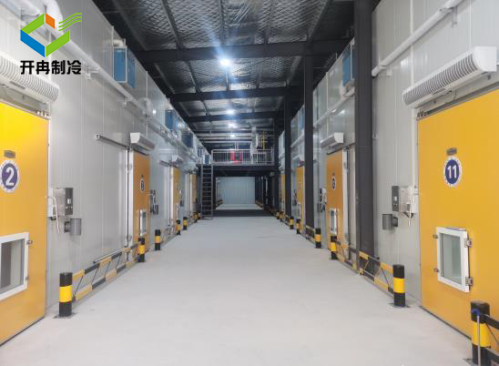 醫藥冷庫安裝后可以存放什么物品 醫藥冷庫安裝后可以存放什么物品