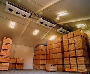 果蔬冷庫香蕉保鮮冷庫工程建造、香蕉保鮮技術