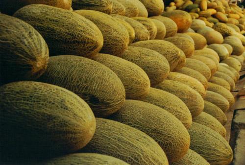 建一座哈密瓜保鮮庫需要多少投資？冷庫設備費用