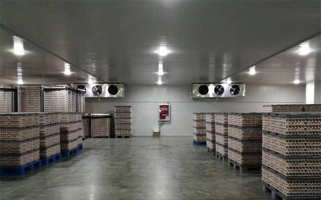 1000噸0-5℃蘋果冷藏庫多少錢，2-4℃冷藏庫建設
